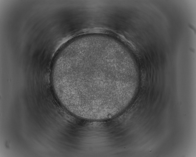 X0000092331166200710121528
