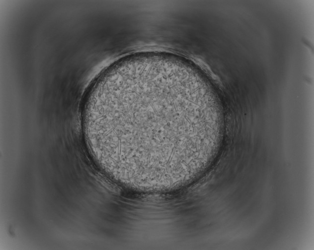 X0000092331167200710121528