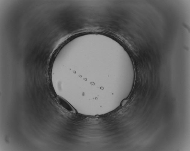 X0000092331168200710121528