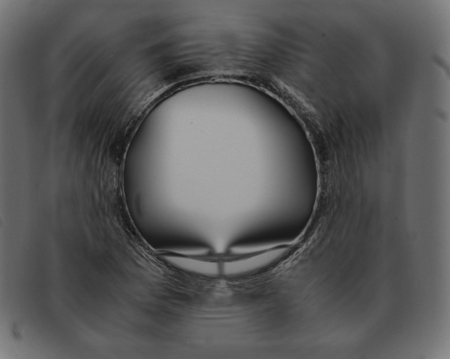 X0000092331169200710121528