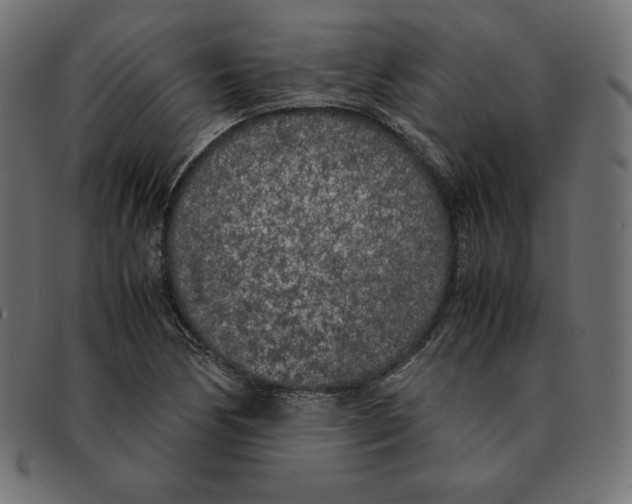 X0000092331170200710121528