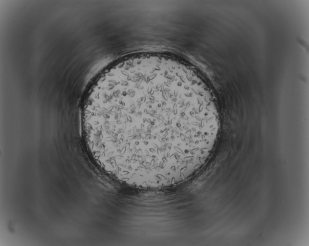 X0000092331171200710121528
