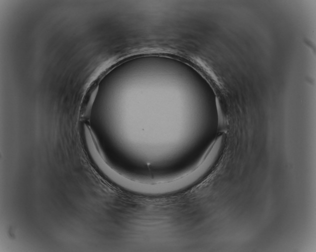 X0000092331173200710121527