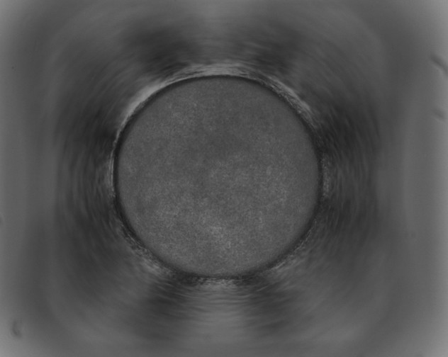 X0000092331174200710121527