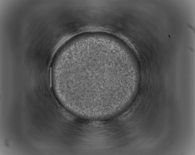 X0000092331175200710121527