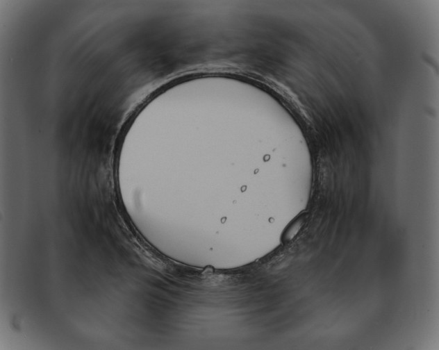 X0000092331176200710121527