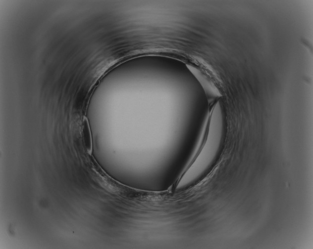 X0000092331177200710121527