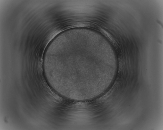 X0000092331178200710121527