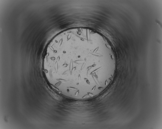 X0000092331179200710121527