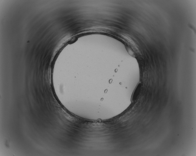 X0000092331180200710121527