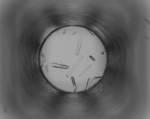 X0000092331182200710121527