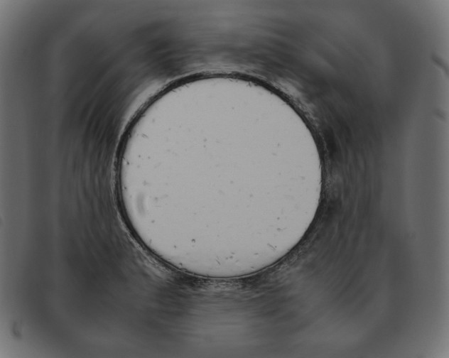 X0000092331183200710121527