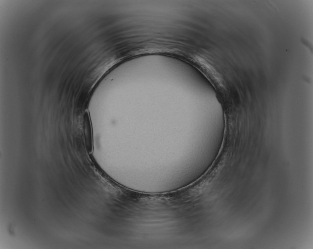 X0000092331185200710121527