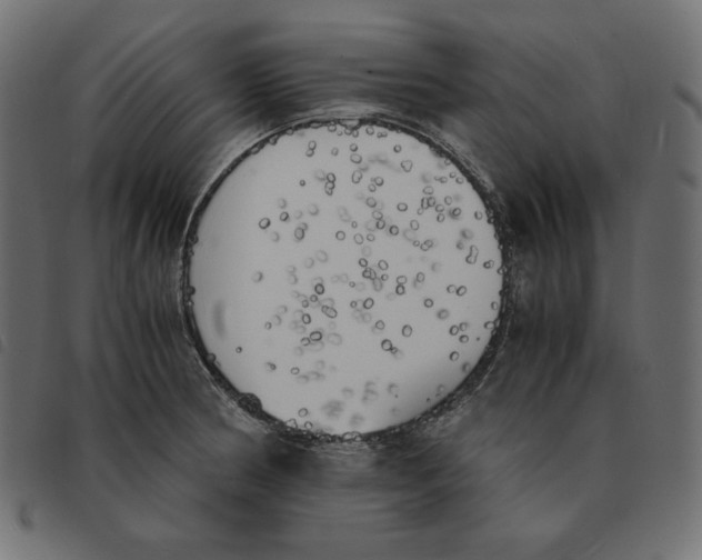 X0000092331186200710121527