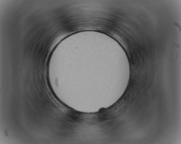 X0000092331187200710121527