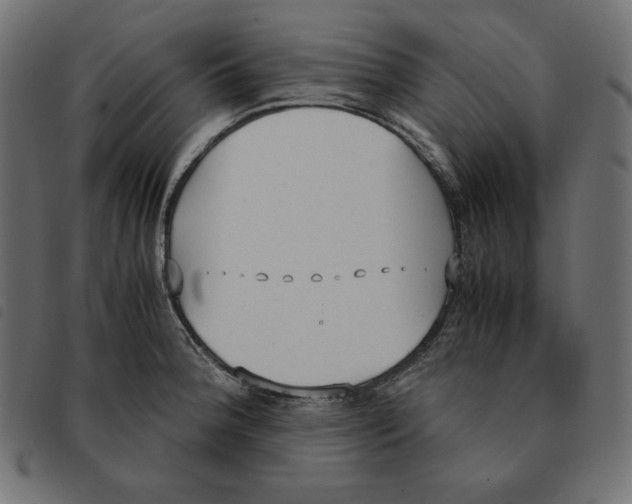 X0000092331188200710121527