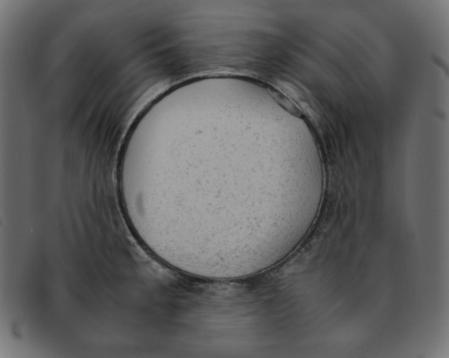X0000092331189200710121527