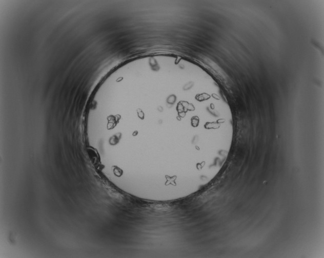 X0000092331190200710121527