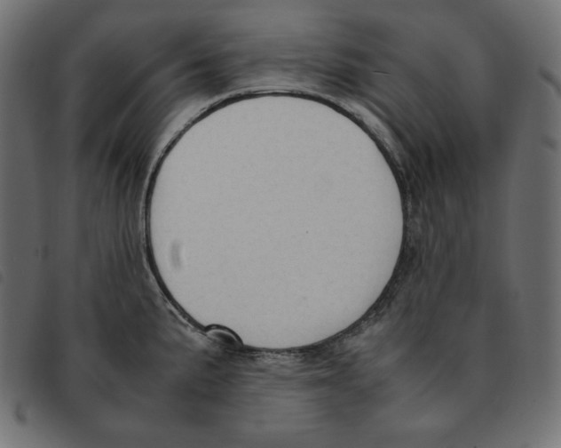 X0000092331191200710121527