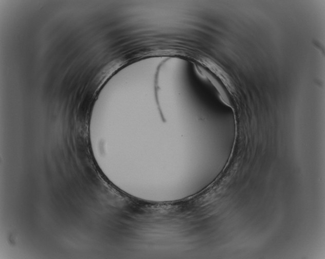 X0000092331193200710121527
