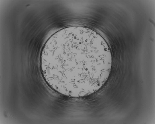 X0000092331195200710121527