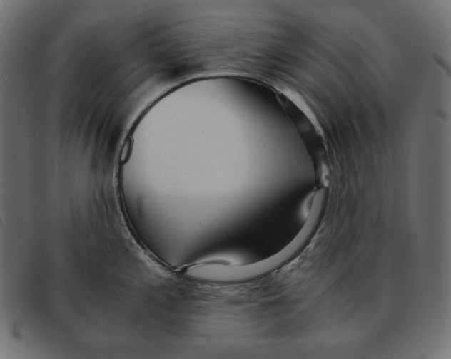 X0000092331197200710121527