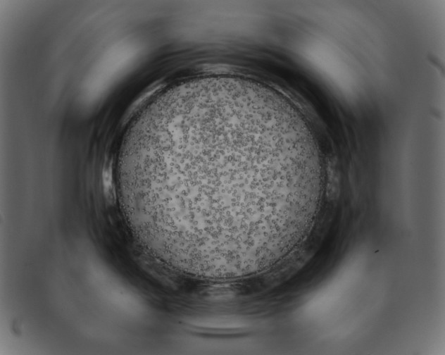X0000092331198200710121527