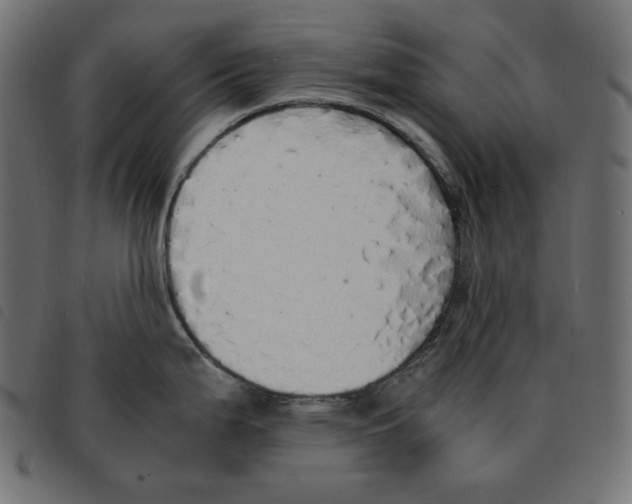 X0000092331199200710121527