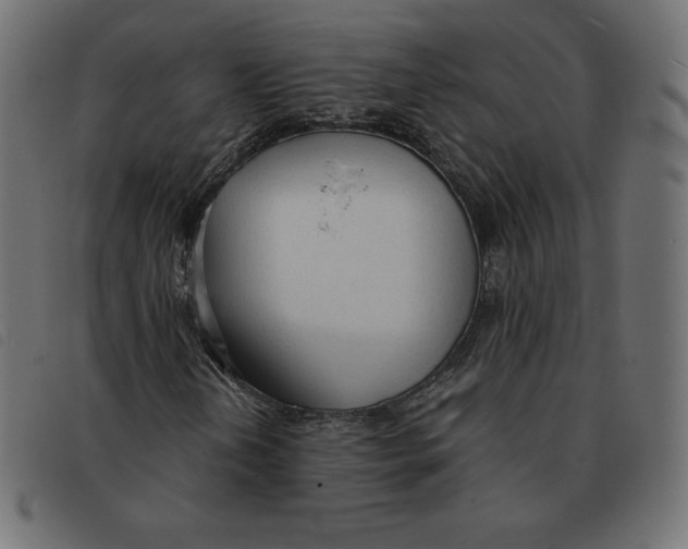 X0000092331202200710121526