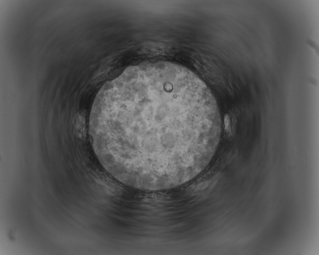 X0000092331203200710121526