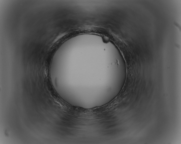 X0000092331206200710121527