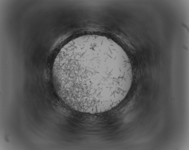 X0000092331207200710121527