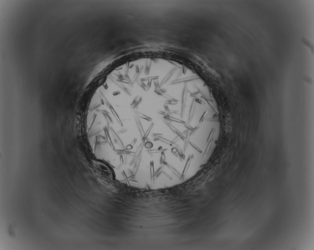 X0000092331208200710121527