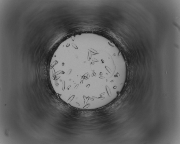 X0000092331211200710121527