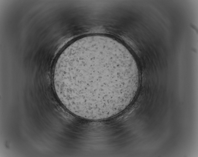 X0000092331212200710121527