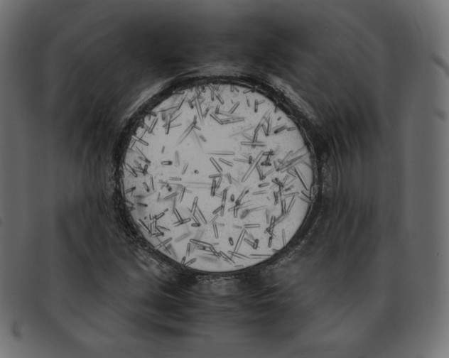 X0000092331213200710121527