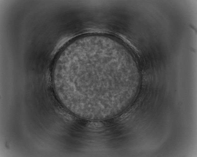 X0000092331215200710121527