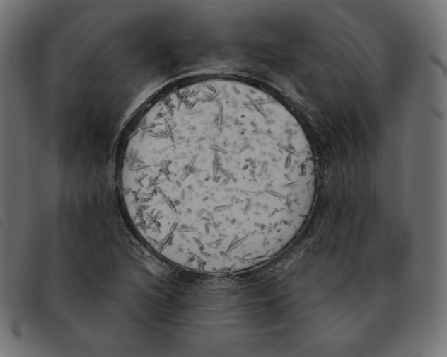 X0000092331216200710121527