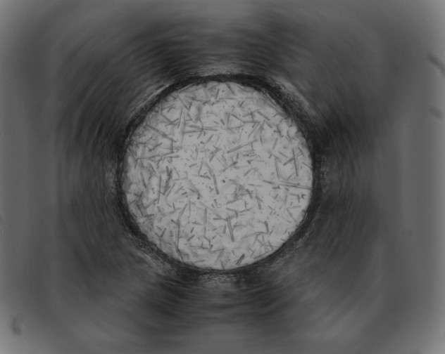 X0000092331217200710121527