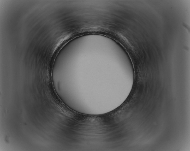 X0000092331218200710121527