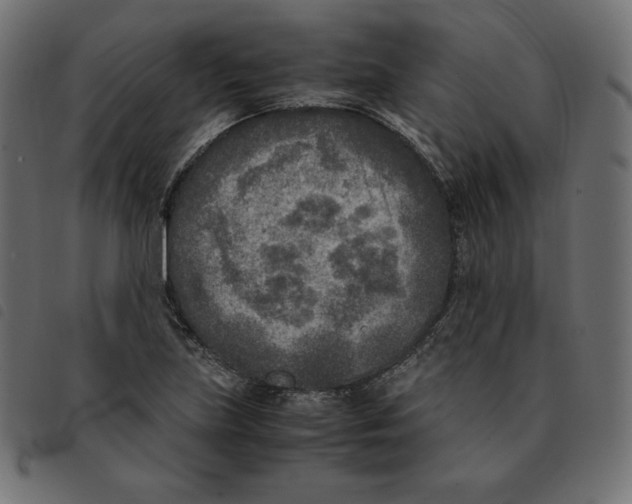 X0000092331219200710121527