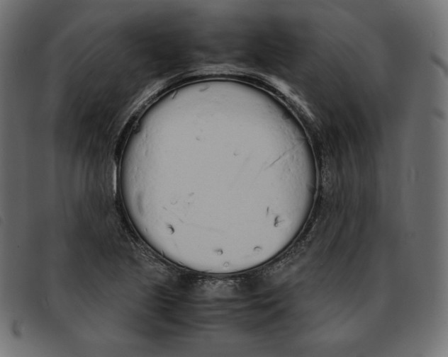 X0000092331221200710121527