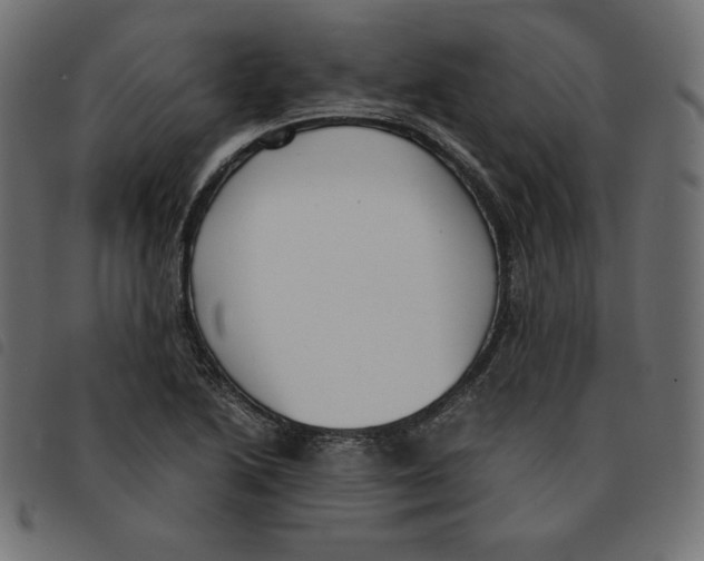 X0000092331222200710121527
