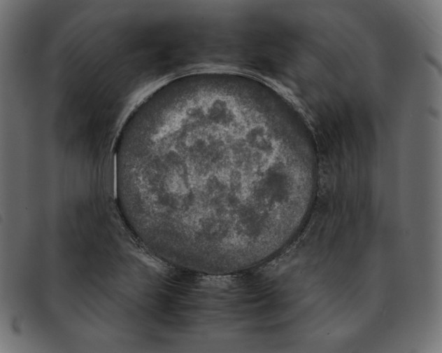 X0000092331223200710121527