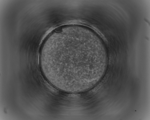 X0000092331224200710121527