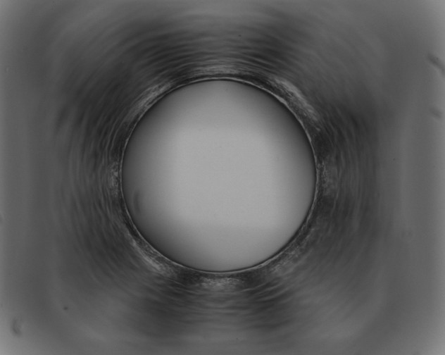 X0000092331225200710121527