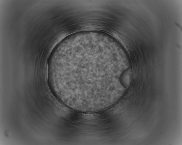 X0000092331227200710121527