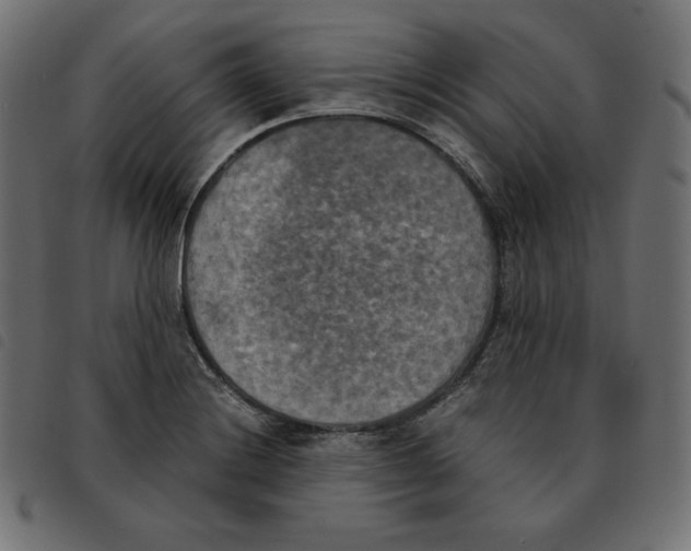 X0000092331228200710121527