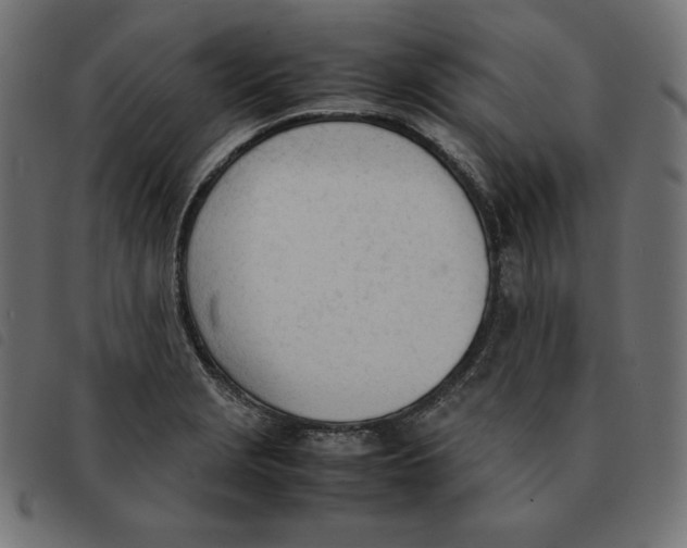 X0000092331229200710121527