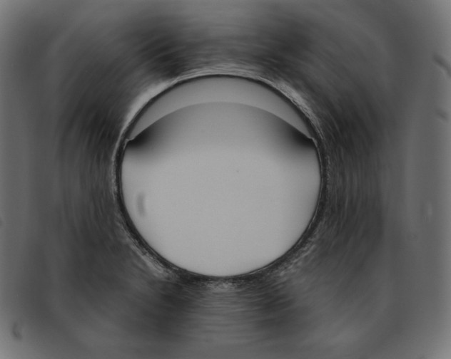 X0000092331230200710121527